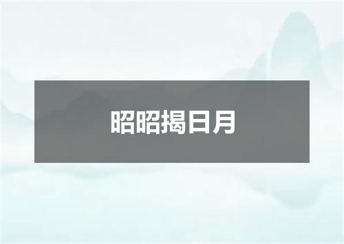 昭昭揭日月