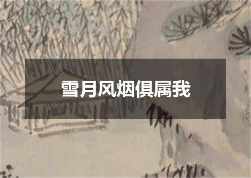 雪月风烟俱属我