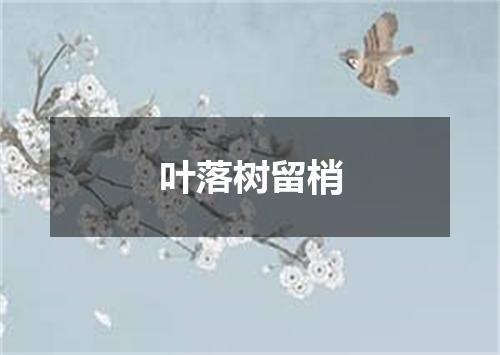 叶落树留梢