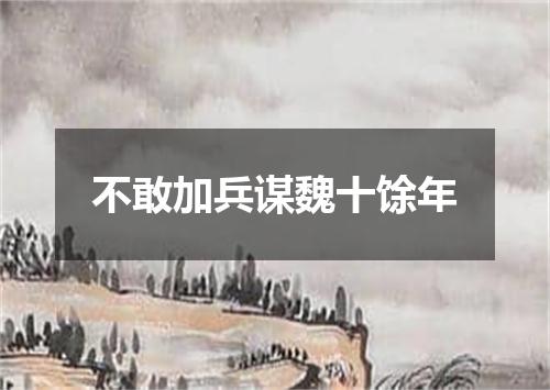 不敢加兵谋魏十馀年