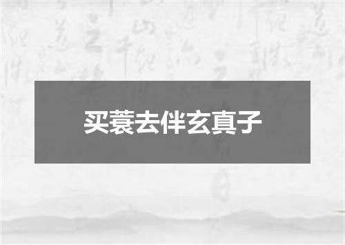 买蓑去伴玄真子