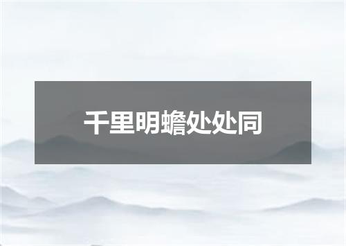 千里明蟾处处同
