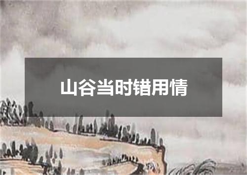 山谷当时错用情