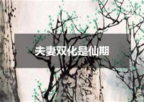 夫妻双化是仙期