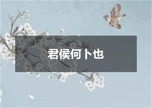 君侯何卜也