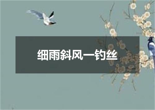 细雨斜风一钓丝