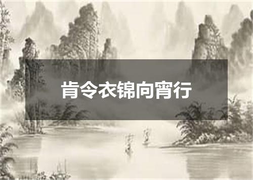肯令衣锦向宵行