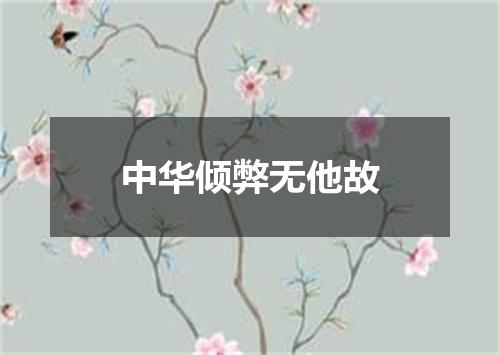 中华倾弊无他故
