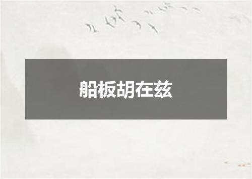 船板胡在兹