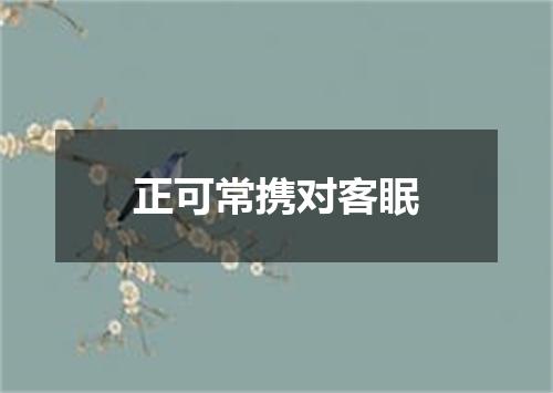 正可常携对客眠