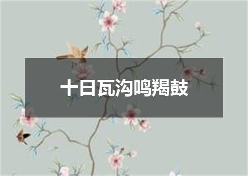 十日瓦沟鸣羯鼓