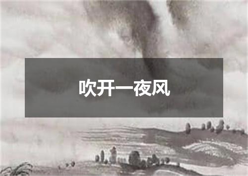 吹开一夜风
