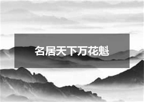 名居天下万花魁