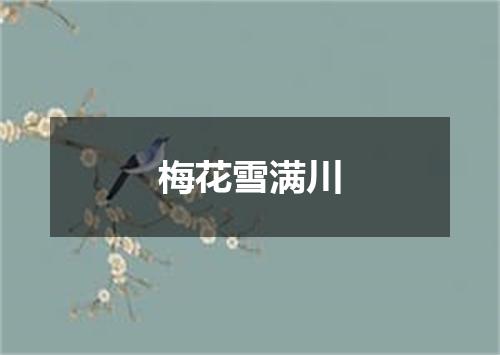 梅花雪满川