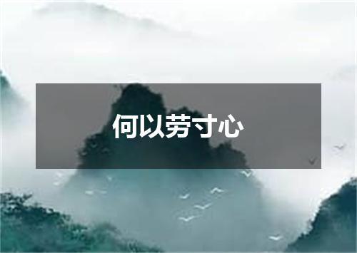 何以劳寸心
