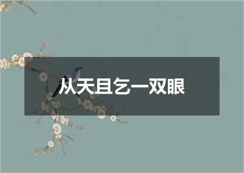 从天且乞一双眼