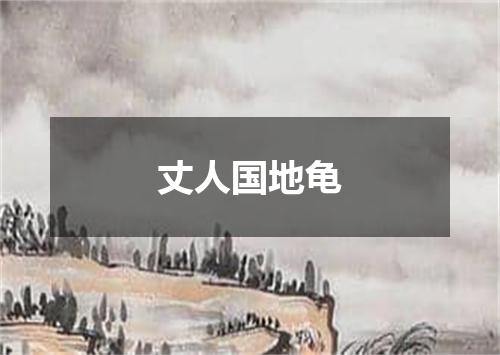 丈人国地龟