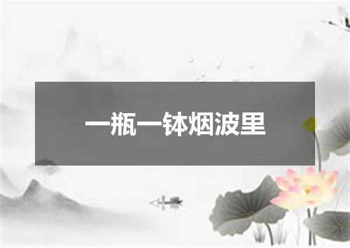 一瓶一钵烟波里