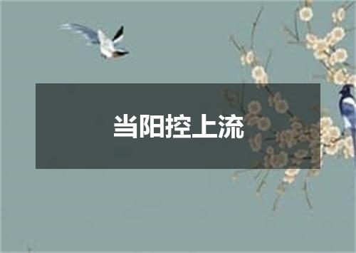 当阳控上流
