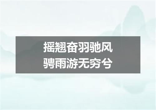 摇翘奋羽驰风骋雨游无穷兮