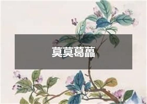 莫莫葛藟