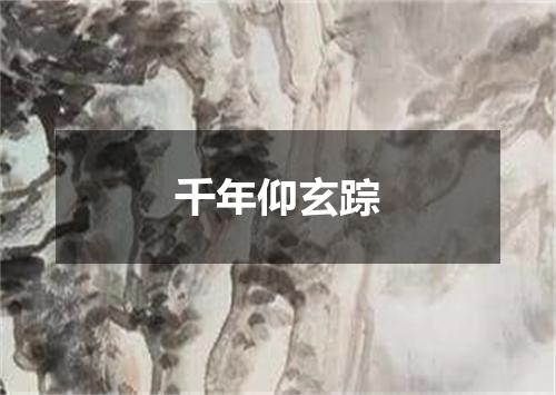 千年仰玄踪