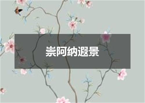 崇阿纳遐景