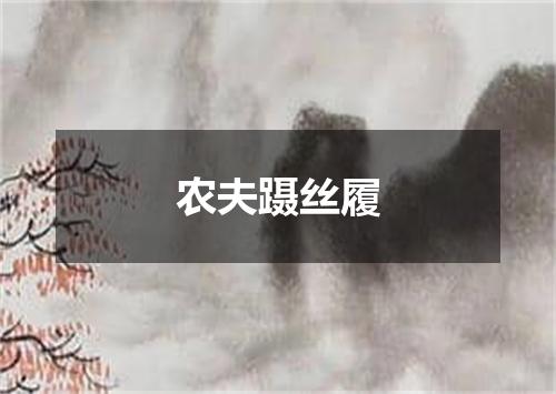 农夫蹑丝履
