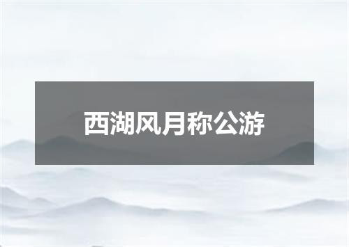 西湖风月称公游