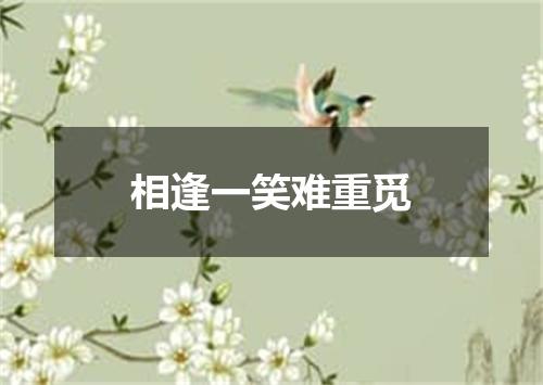 相逢一笑难重觅