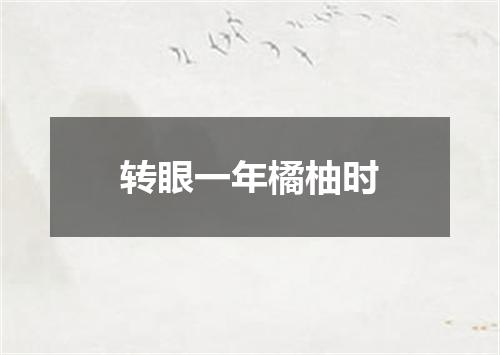 转眼一年橘柚时