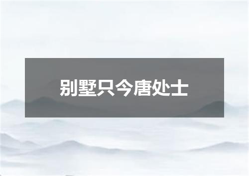 别墅只今唐处士