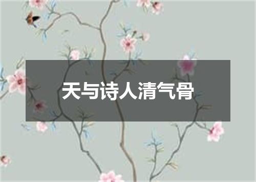 天与诗人清气骨