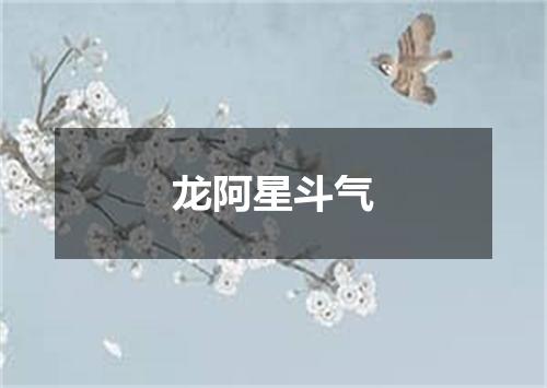 龙阿星斗气