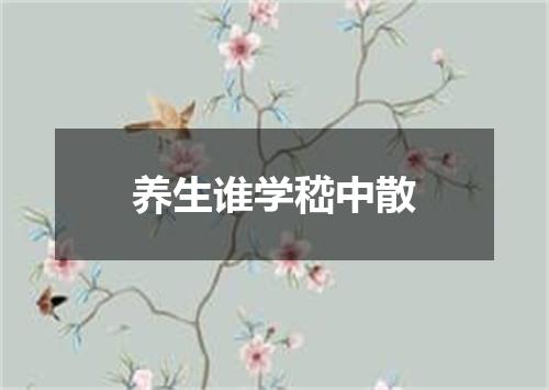养生谁学嵇中散