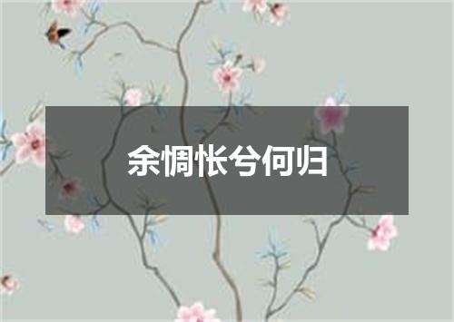 余惆怅兮何归