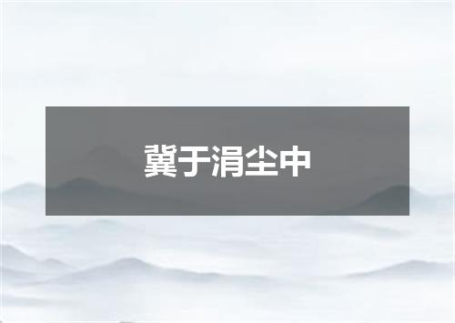 冀于涓尘中