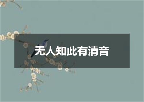 无人知此有清音