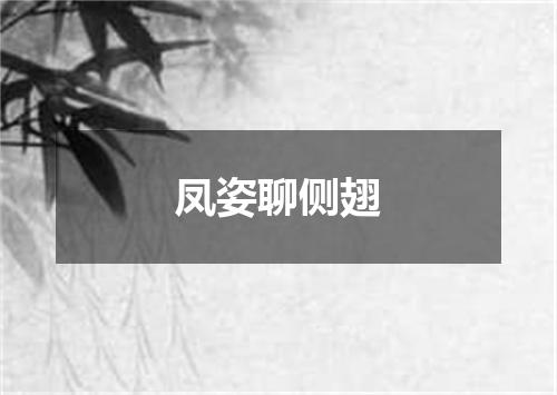 凤姿聊侧翅