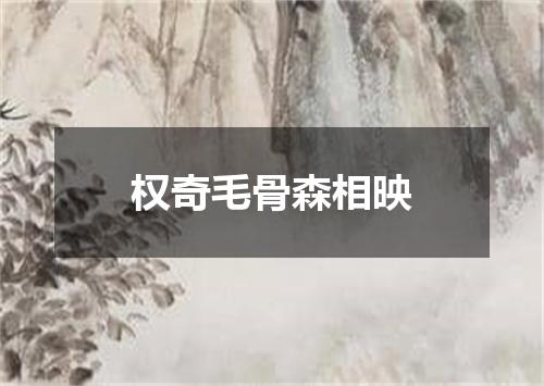 权奇毛骨森相映