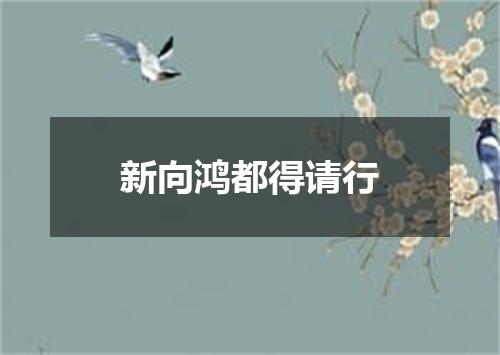 新向鸿都得请行