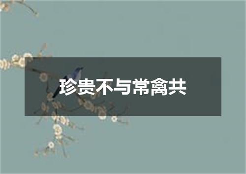 珍贵不与常禽共