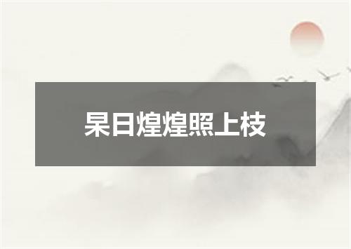 杲日煌煌照上枝
