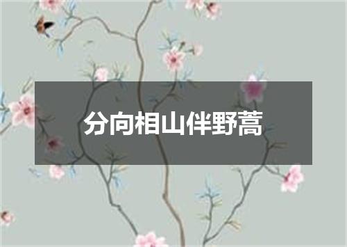 分向相山伴野蒿