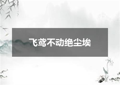 飞鸢不动绝尘埃