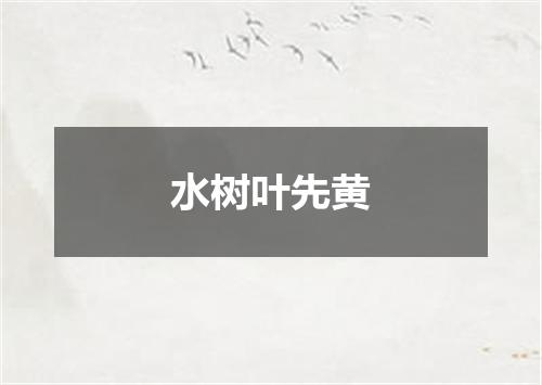水树叶先黄