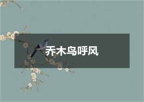乔木鸟呼风