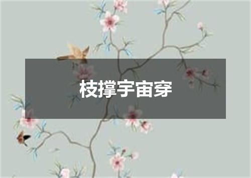 枝撑宇宙穿