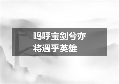 鸣呼宝剑兮亦将遇乎英雄