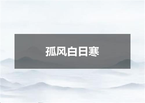 孤风白日寒